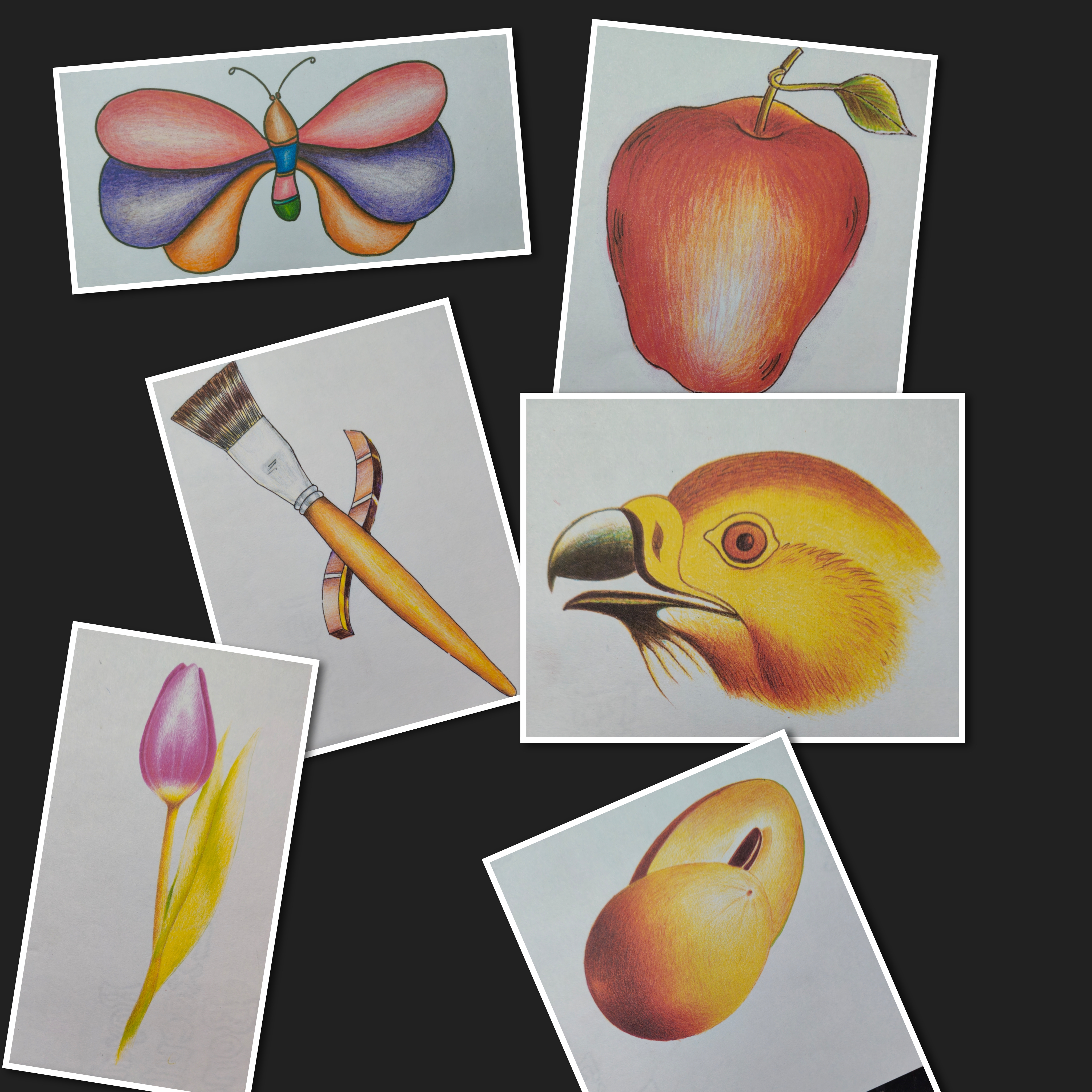 Advanced Colour Pencil Shading reference images 